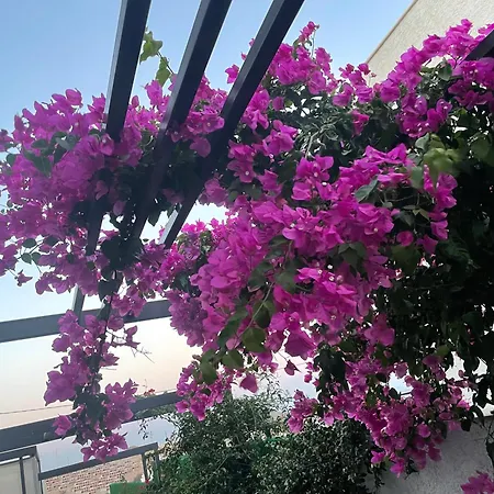 Villa Bodrumda Deniz Ve Doga Manzarali Full Esyali Lueks Bodrum