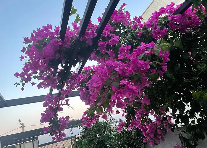 Villa Bodrumda Deniz Ve Doga Manzarali Full Esyali Lueks Bodrum